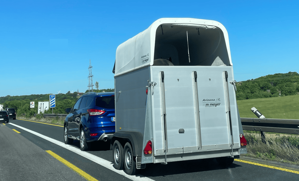 pferde transport anhaenger
